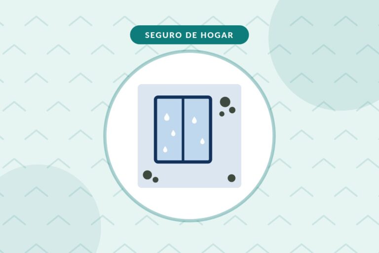Humedades por condensación y seguro: ventana empañada y moho en la pared