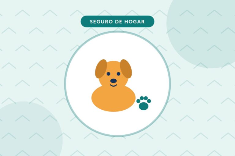 Seguro de hogar y mascotas: perro sonriente junto a una huella