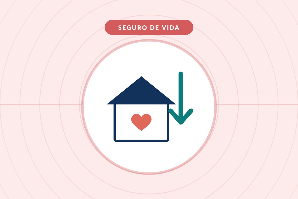 Seguro de vida y amortización anticipada de la hipoteca: ajustar el capital